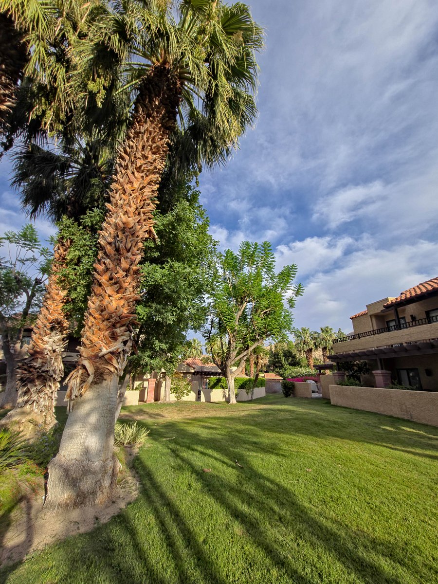 Community Backyard - Perfect place to walk your pet on a leash.