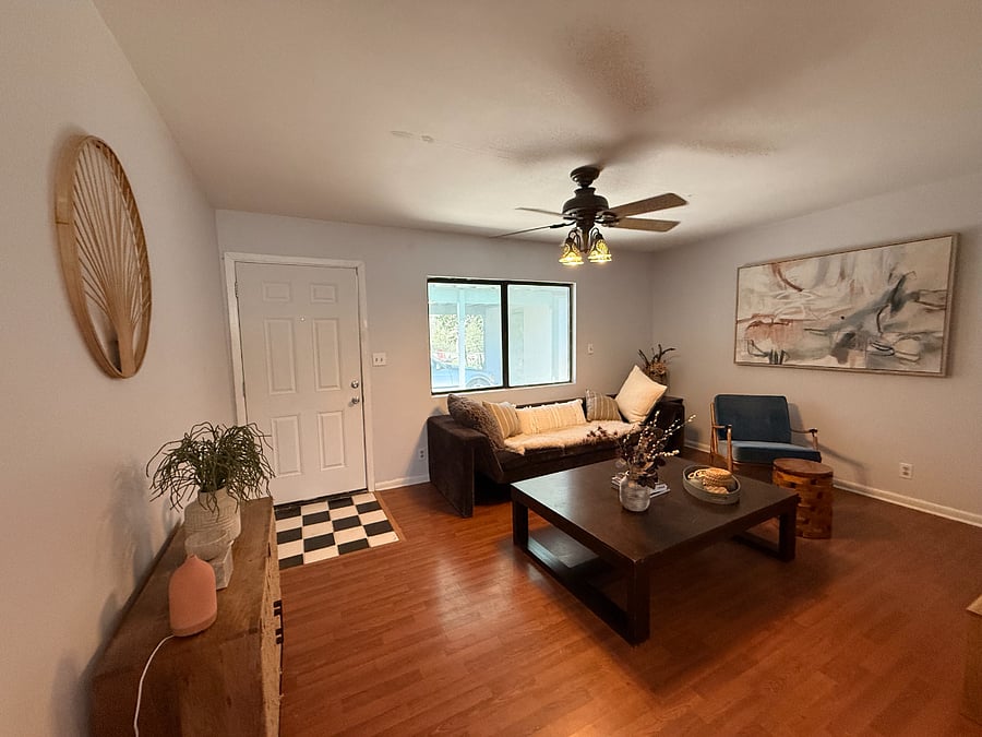 Living room and entrance