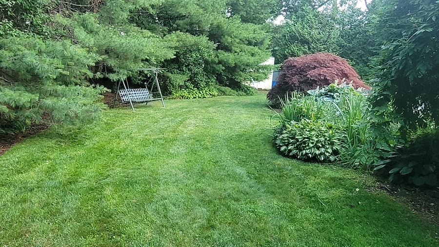 Furnished Finder property 1006663_1 photo 25