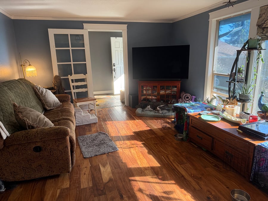Furnished Finder property 1006664_1 photo 4