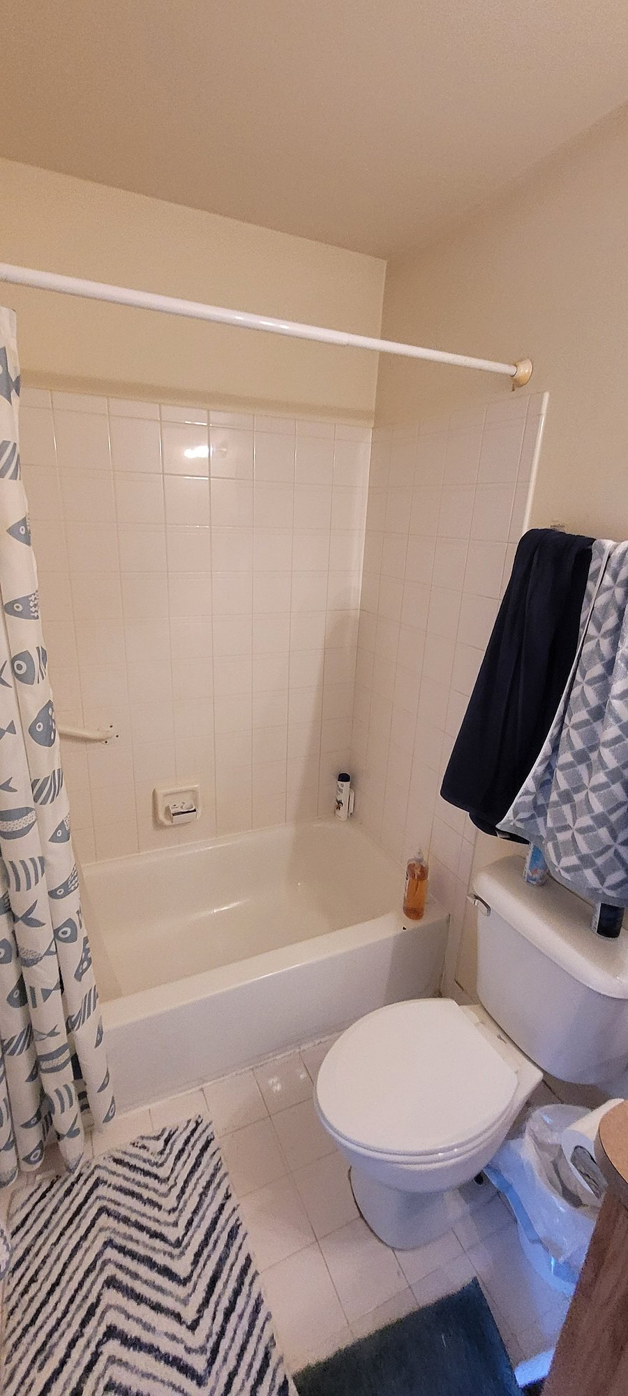 Furnished Finder property 1006680_1 photo 15