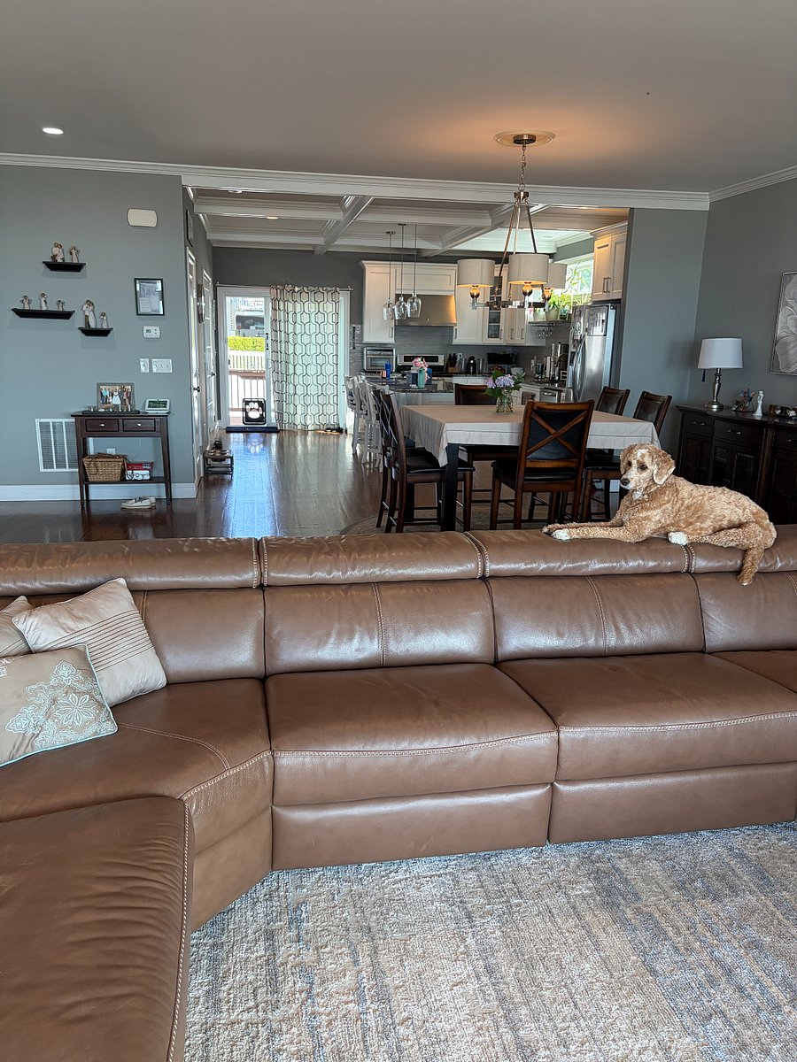 Open, comfortable main living area with a calm, welcoming feel. That's Cocoa our 6 year old labradoodle