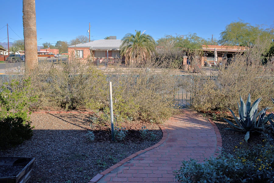 Front yard