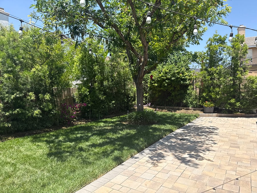 Furnished Finder property 1006768_1 photo 7