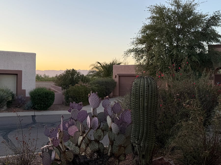 Furnished Finder property 1006789_1 photo 12