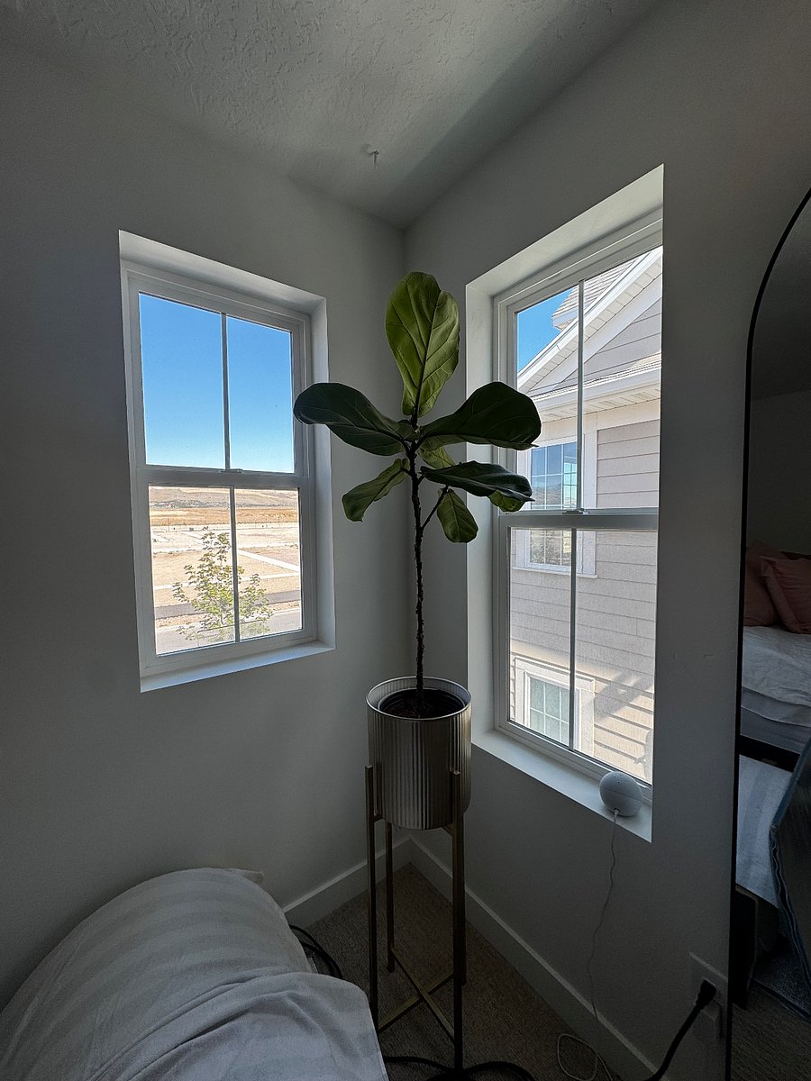 Furnished Finder property 1006802_1 photo 3