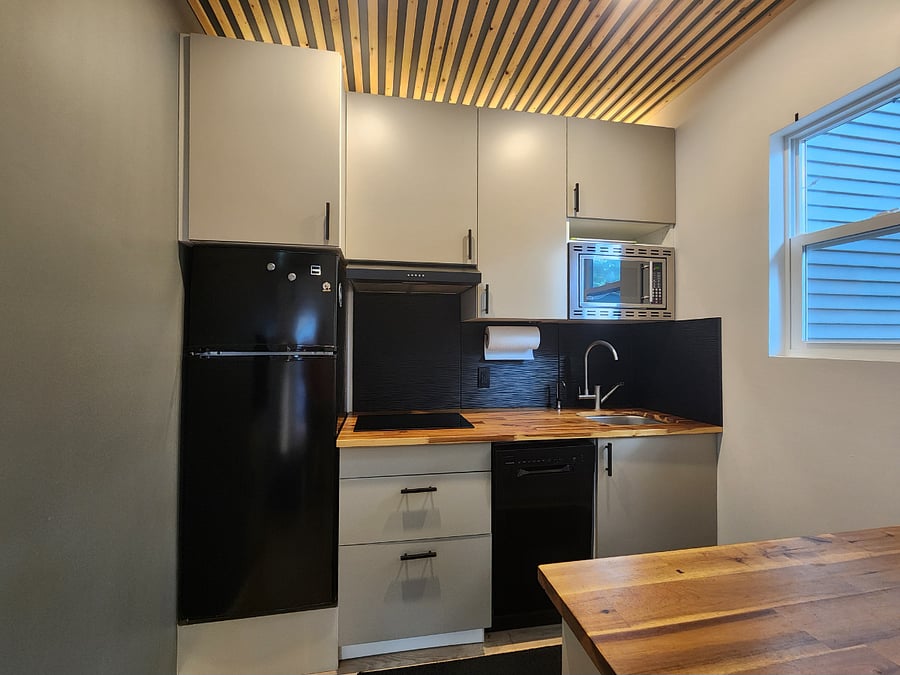 Functional kitchen featuring an electric induction cooktop, dishwasher, and microwave.