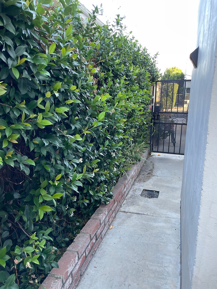 Furnished Finder property 1006917_1 photo 4