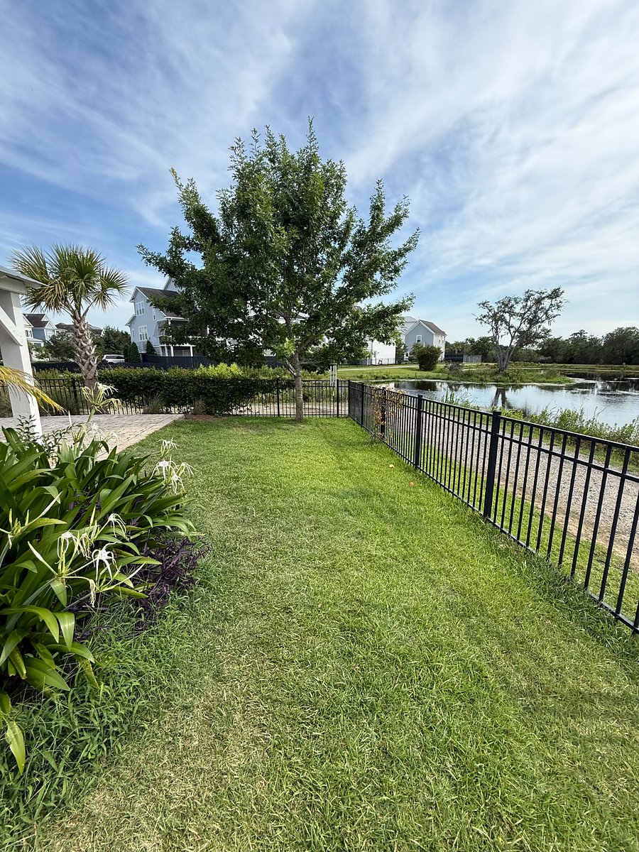Furnished Finder property 1006933_1 photo 17