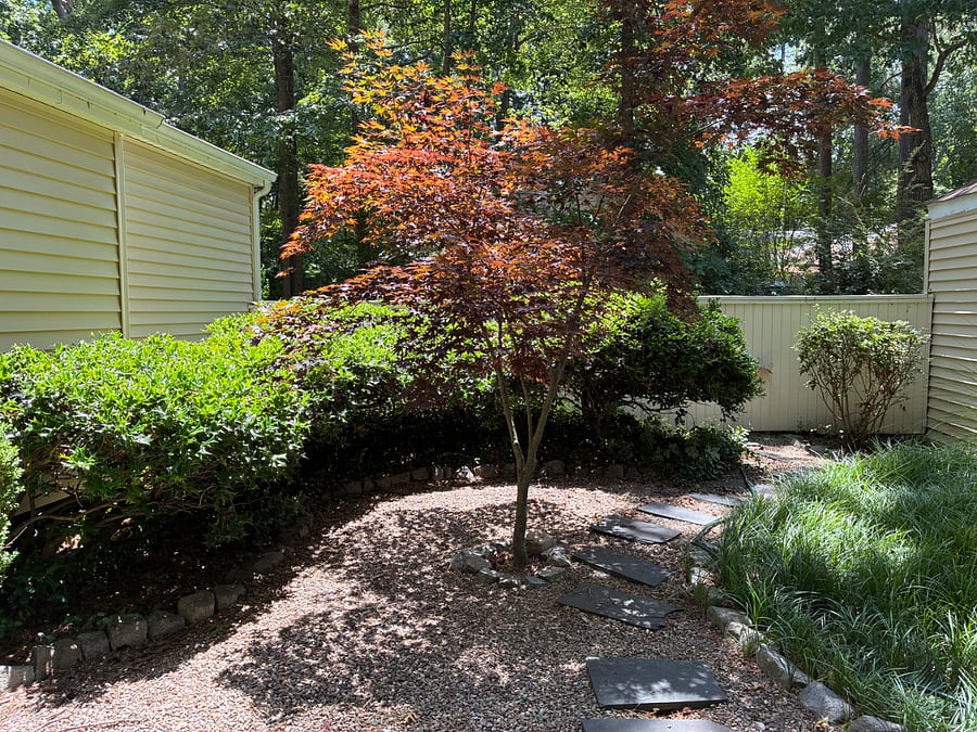 Furnished Finder property 1006938_1 photo 20
