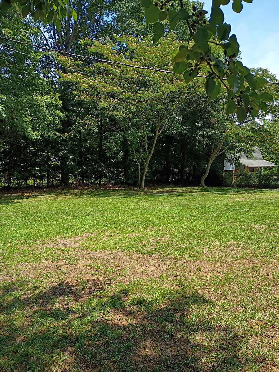 Large Back Yard