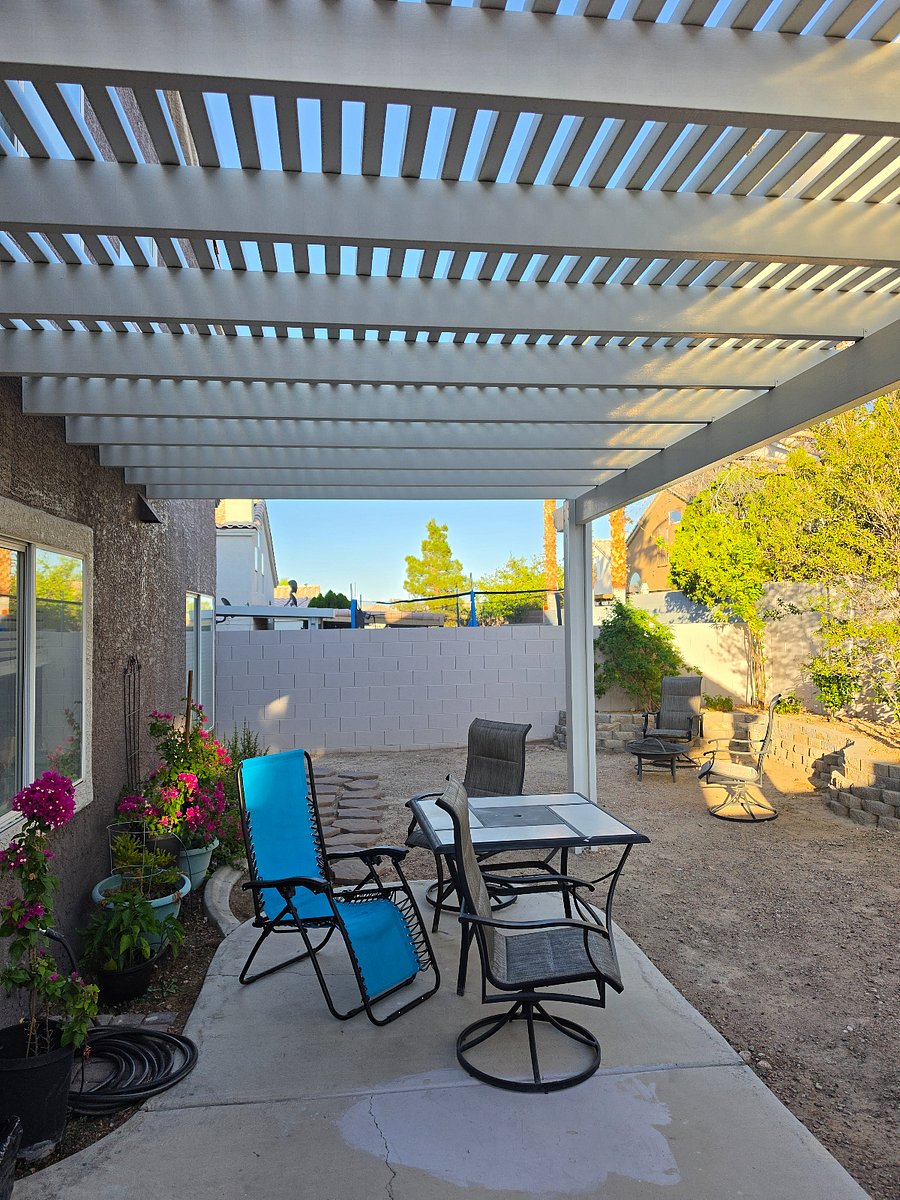 Back yard