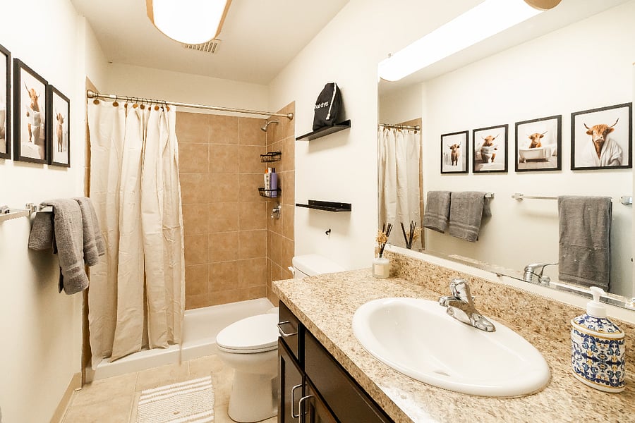 Furnished Finder property 1007016_1 photo 22