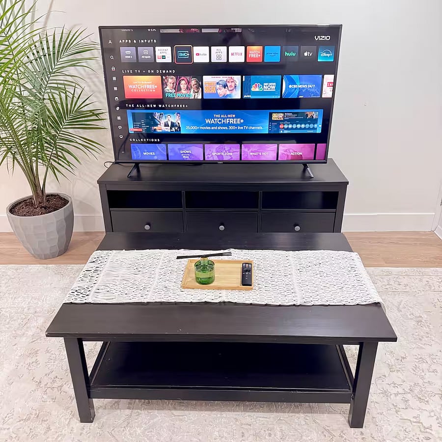 Basement Living Room