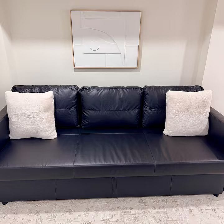 Basement Living Room Leather Sofa Bed