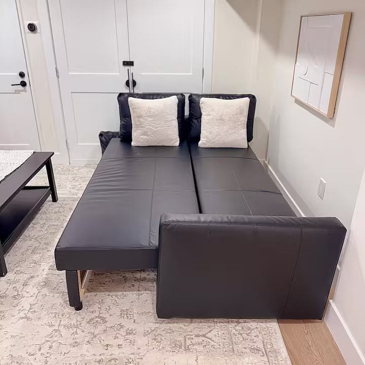 Basement Living Room Leather Sofa Bed (Full)