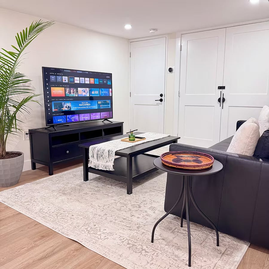 Basement Living Room