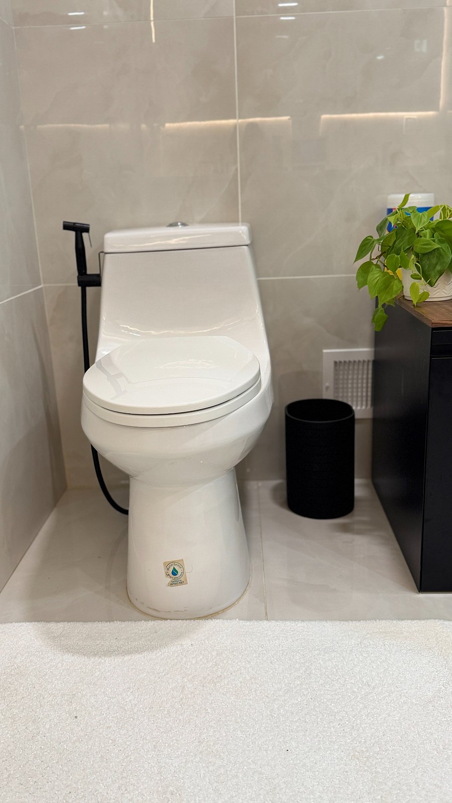 Master bedroom toilet with bidet nozzle