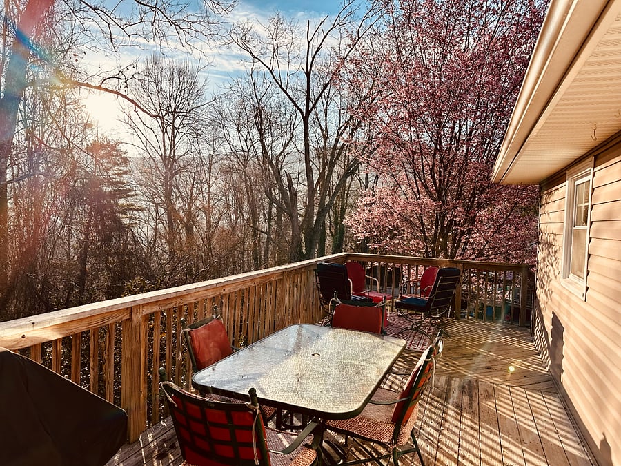 Furnished Finder property 1007066_1 photo 3