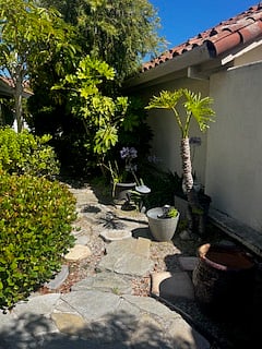 Side yard