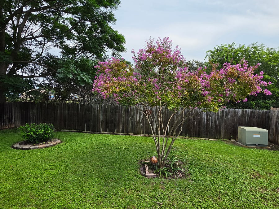 Furnished Finder property 1007093_1 photo 16