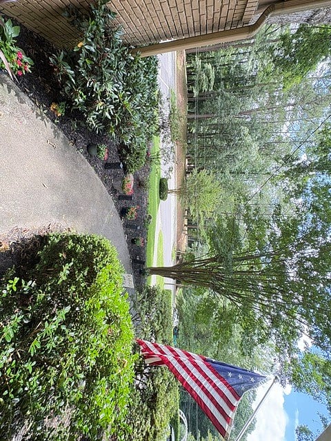 Your view of the park