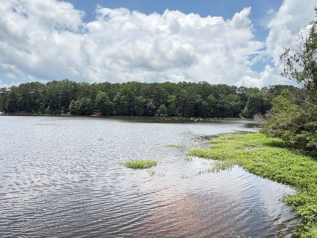 Lake at Murphy Candler Park - has walking trails and is literally a few steps from the front door. Perfect place to have a break and chill or take a stroll.