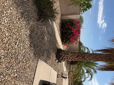 Furnished Finder property 1007131_1 photo 15