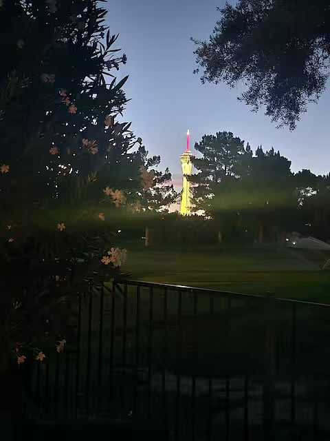 Nightly view from the patio