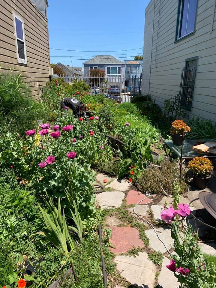 Garden Time!