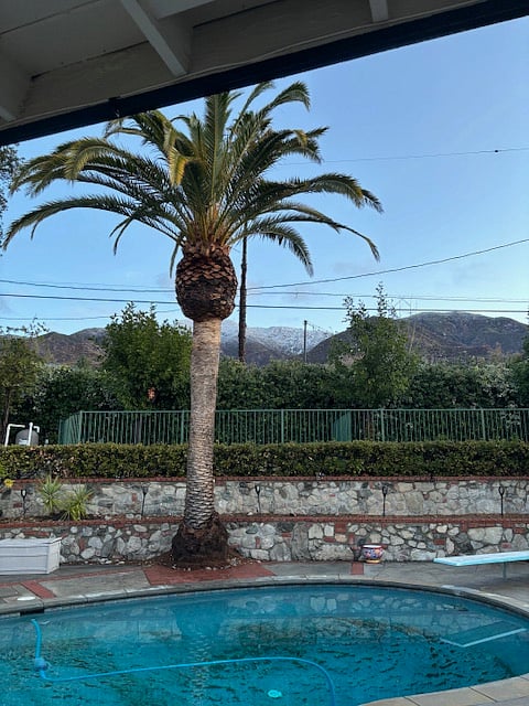 Furnished Finder property 1007210_1 photo 14