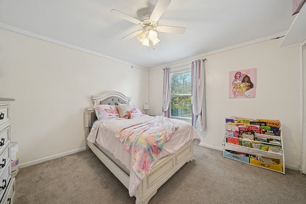 Furnished Finder property 1007229_1 photo 13