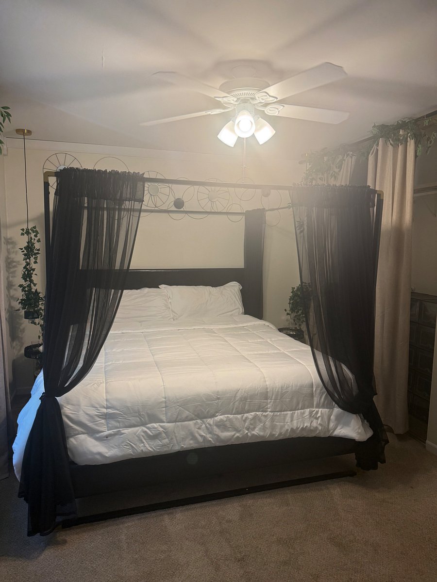 Furnished Finder property 1007229_1 photo 11