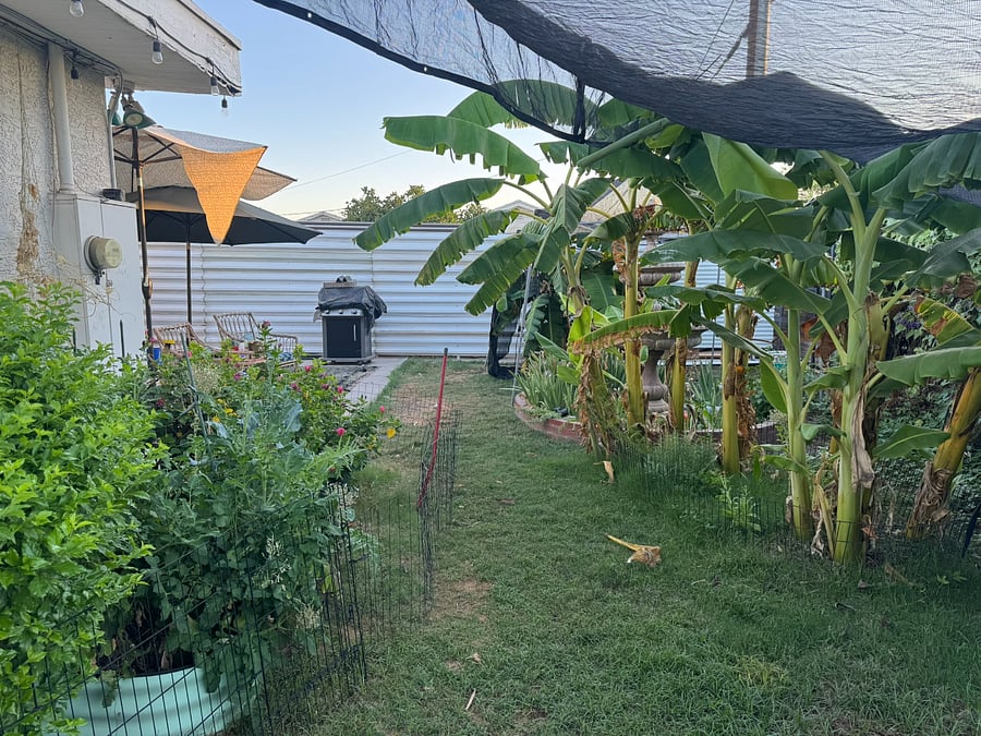 Enjoy the foliage, patio seating, and a grill