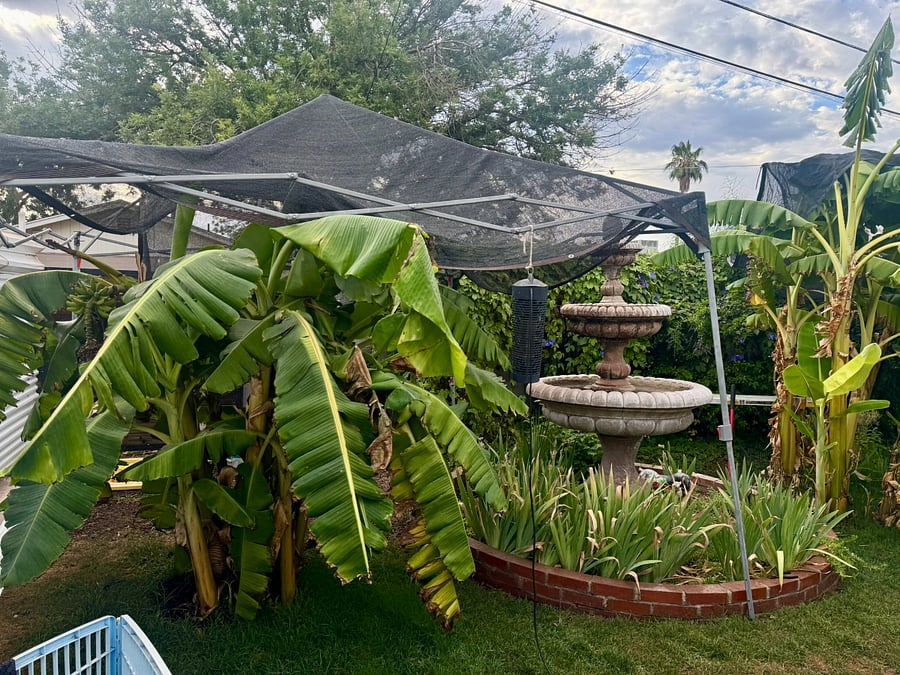 Furnished Finder property 1007254_1 photo 62