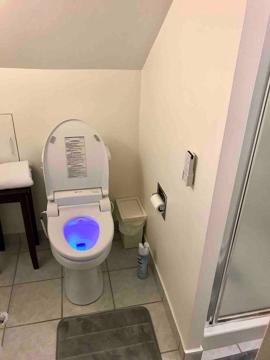 Smart toilet with bidet, shower to the left