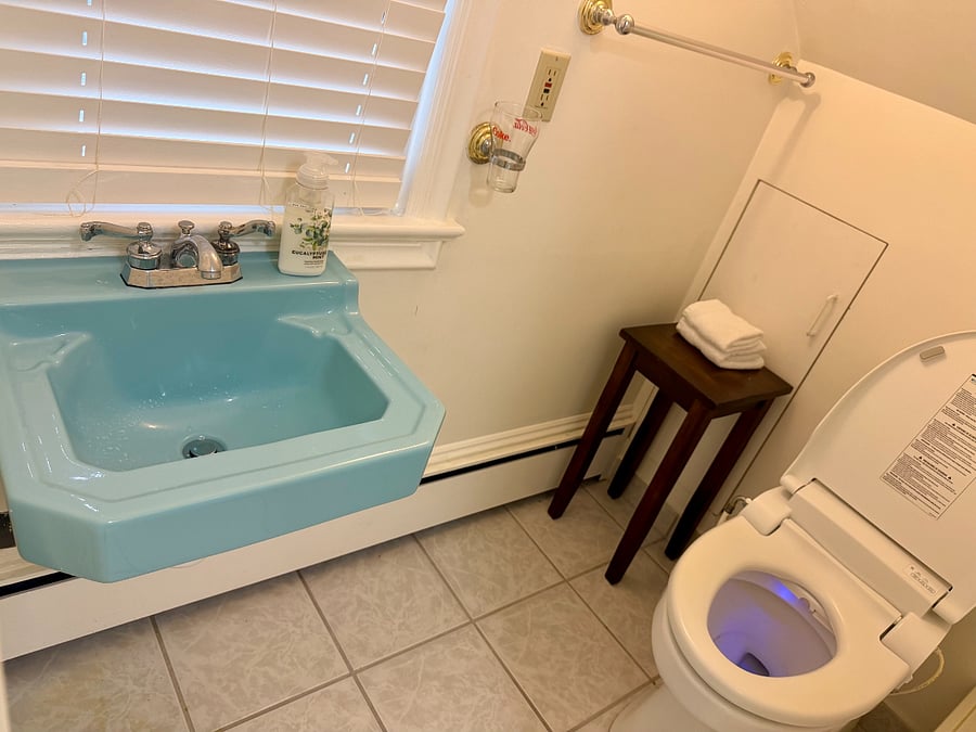 Bathroom sink and smart toilet with bidet
