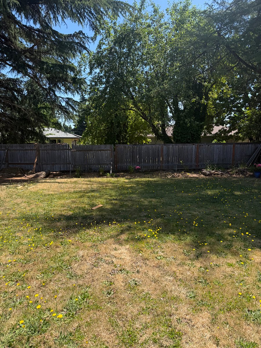 Furnished Finder property 1007290_1 photo 16