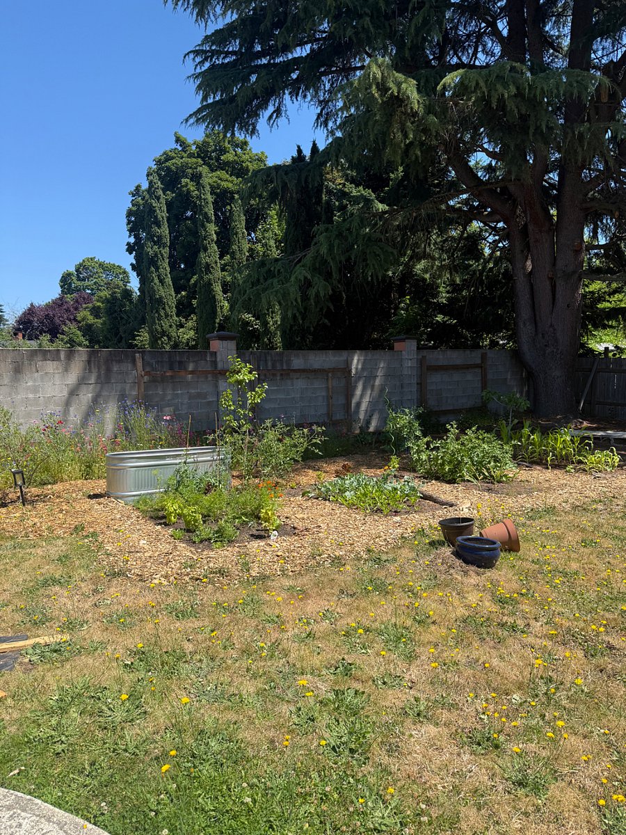 Furnished Finder property 1007290_1 photo 15
