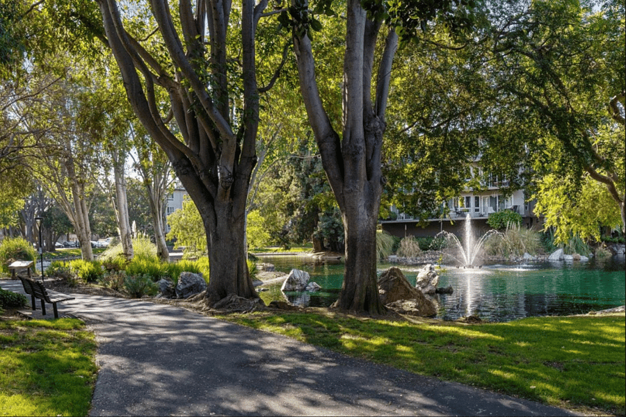 Lake View