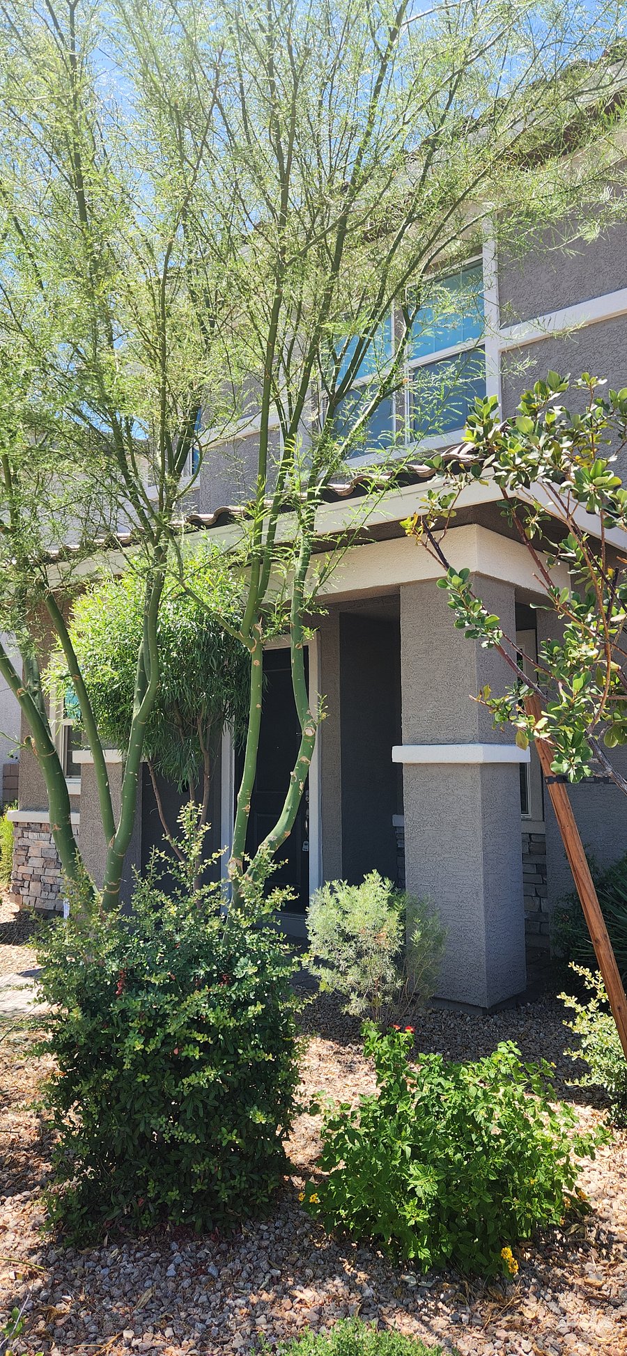 Furnished Finder property 1007394_1 photo 11