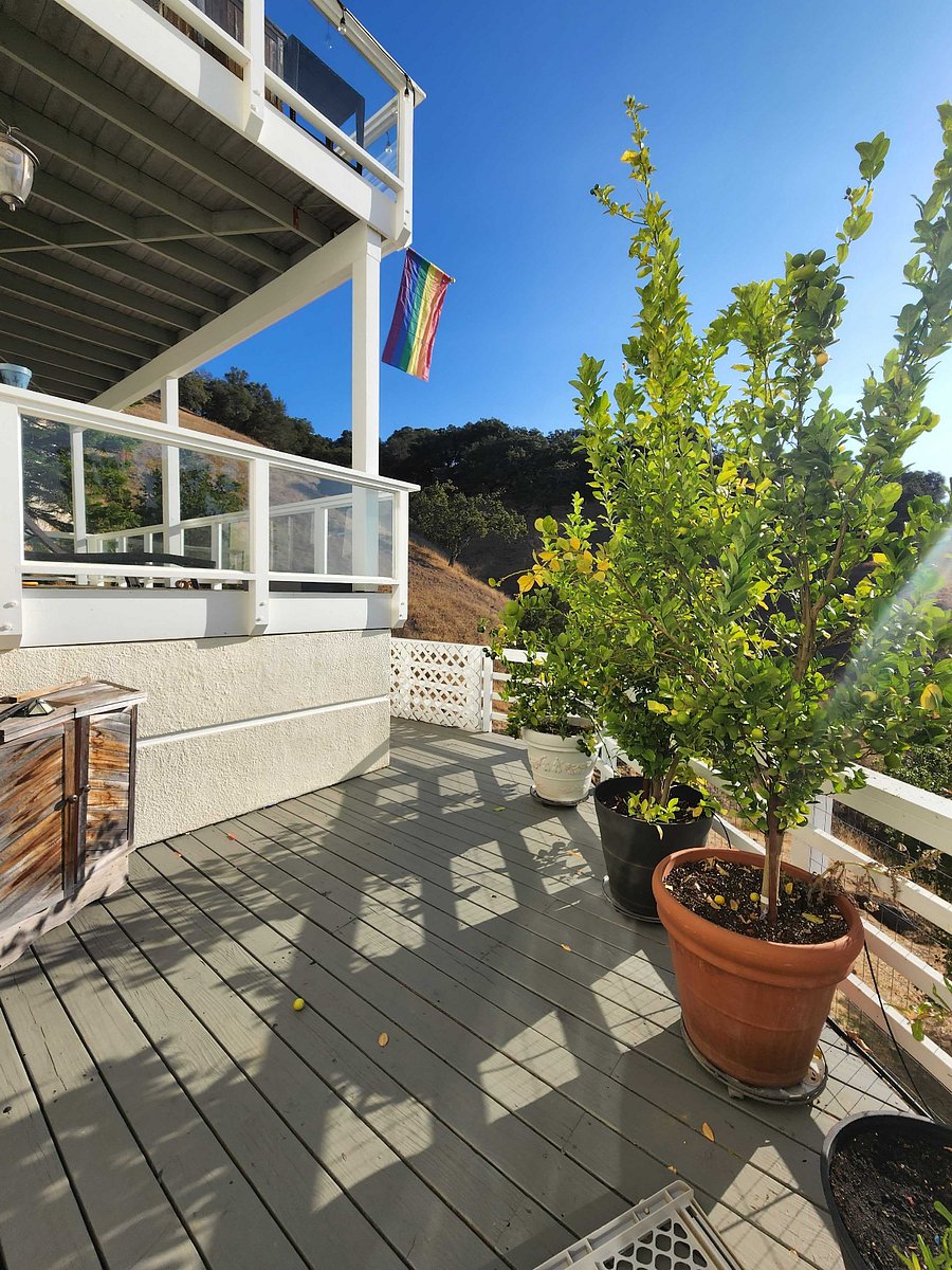 Furnished Finder property 1007433_1 photo 18