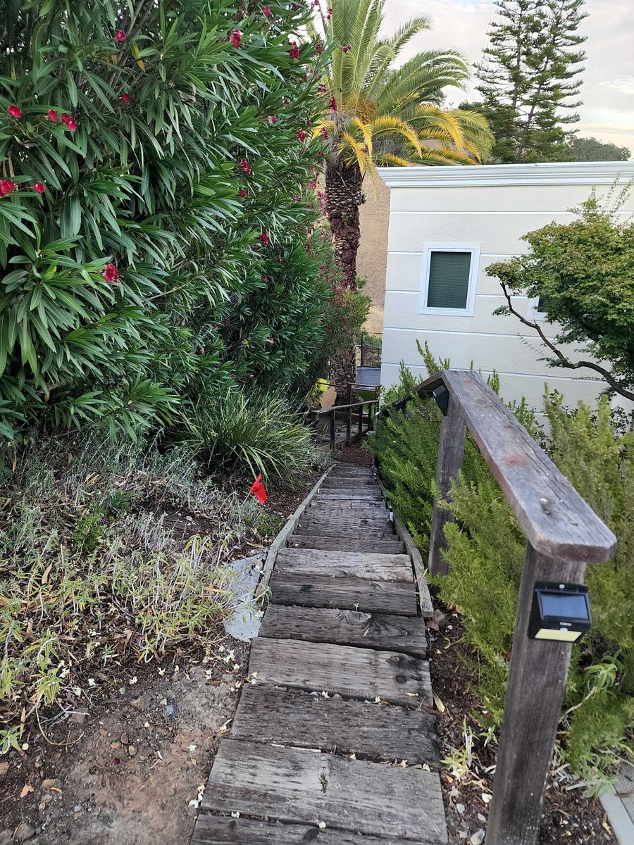 Furnished Finder property 1007433_1 photo 14