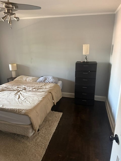 Furnished Finder property 1007482_1 photo 18