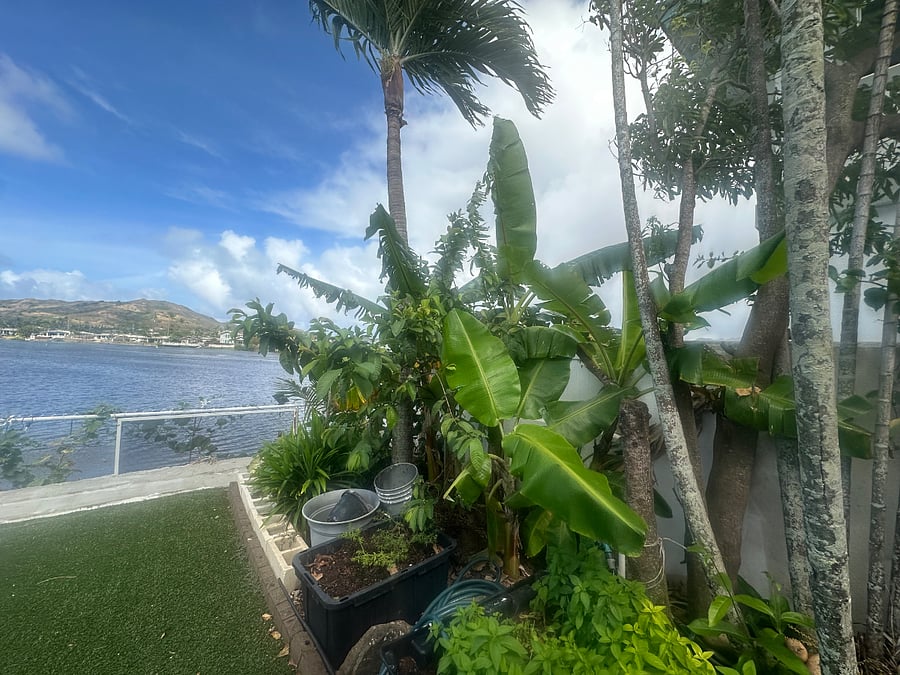 Furnished Finder property 1007483_1 photo 43