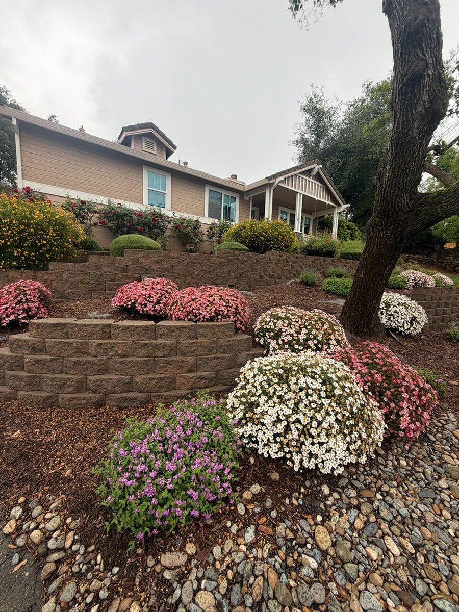 Furnished Finder property 1007496_1 photo 18
