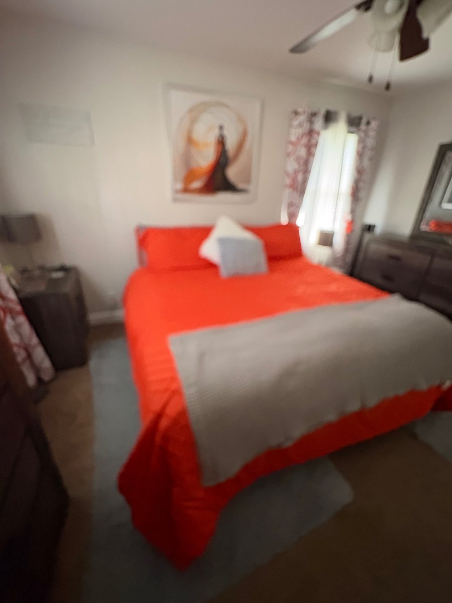 Furnished Finder property 1007500_1 photo 13