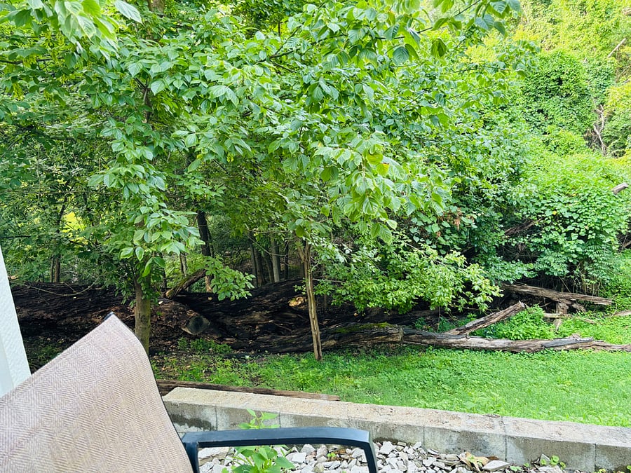 Furnished Finder property 1007514_1 photo 3