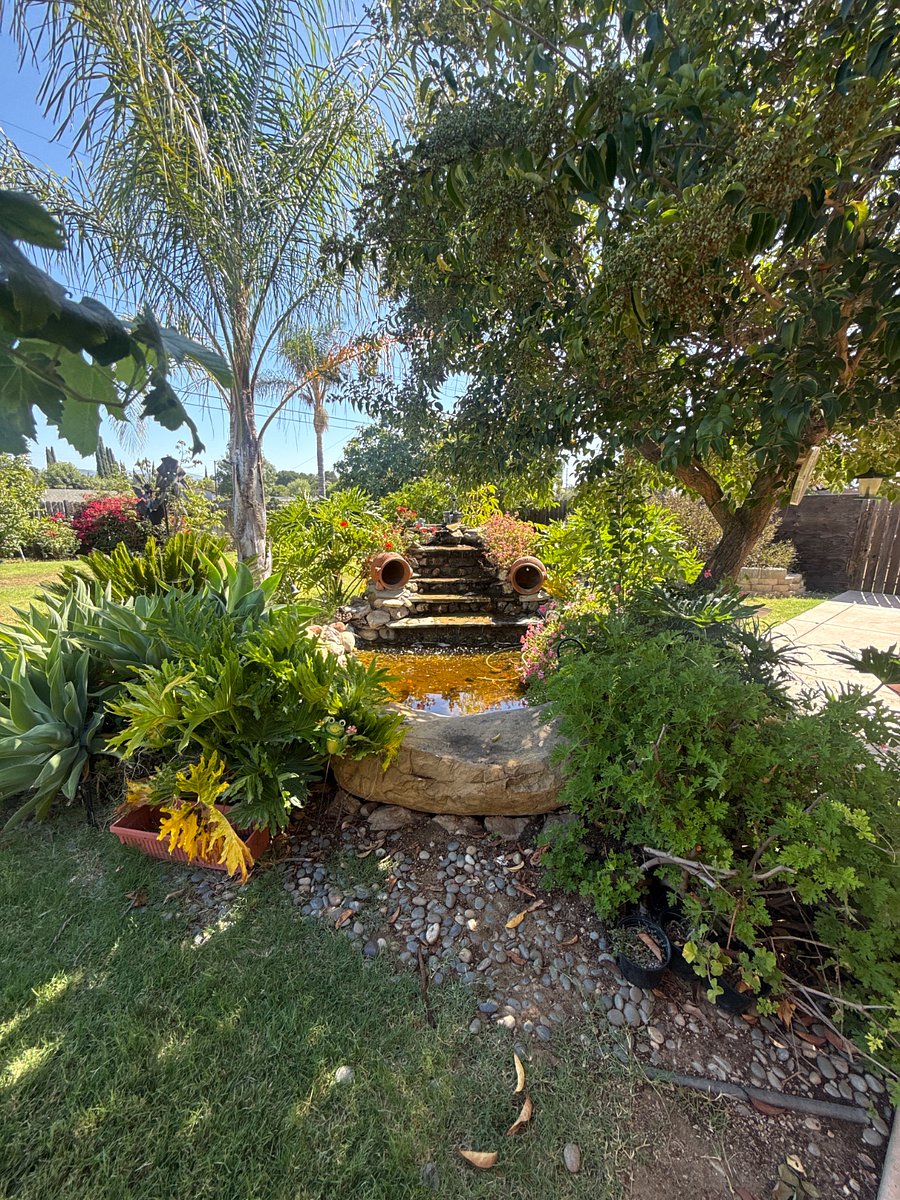 Furnished Finder property 1007595_1 photo 11