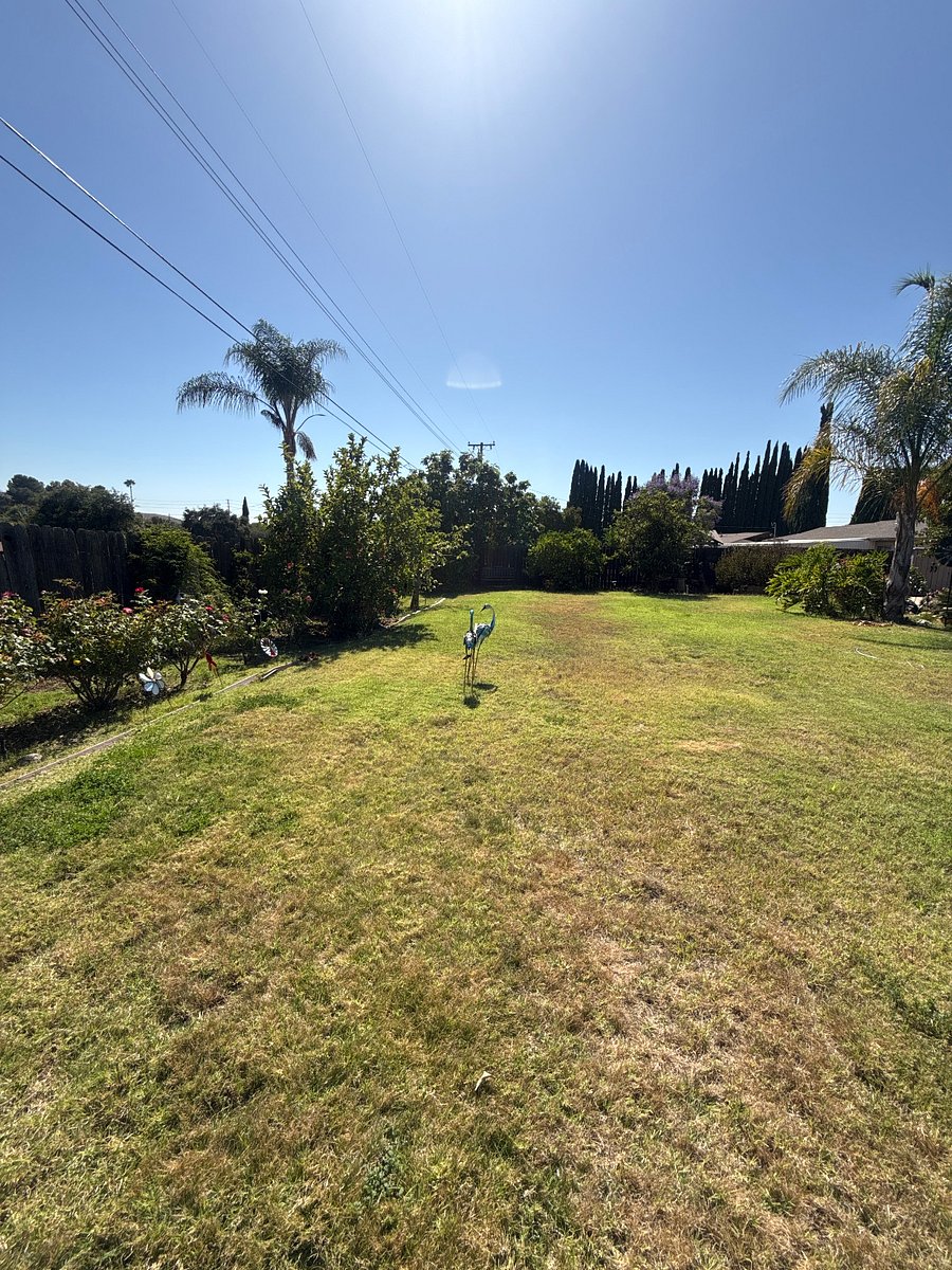 Furnished Finder property 1007595_1 photo 12